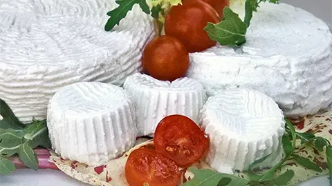 formaggi freschi